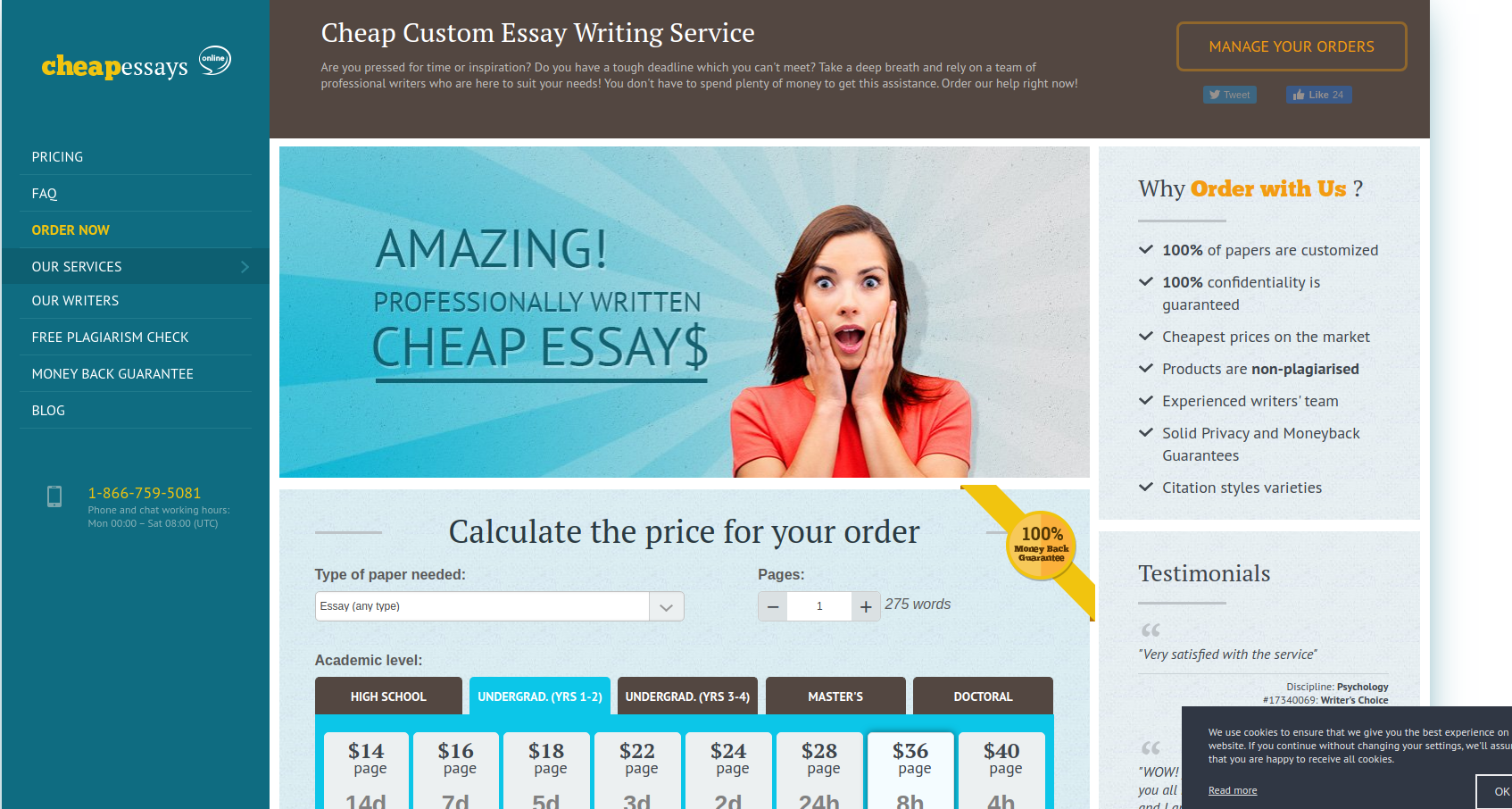 CheapEssaysOnline.com